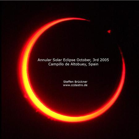 �D�ģ�2005����ȫʳ���ʈDƬ(3)