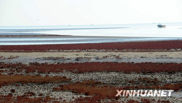 �S�������޵؅^(q��)�l(f��)չ��������ґ�(zh��n)��[�M�D]