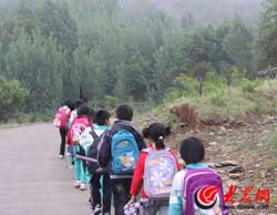 С��u�uͣ���������ӂ���Ȼ�����(du��)�ڭh(hu��n)ɽ��·�����^�s·��ɽ·Խ��Խ����·��߅�Ę�ľҲԽ��Խï�ܡ�