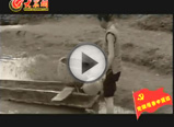 ������Ă��y(t��ng)��ˇ������ɰұ��