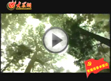 �Nֲ������Ĺ�����Ⱥ�����u��