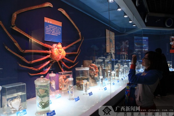�����u�������磬�w�(y��n)��(m��ng)��������{(l��n)ɫ����֮��