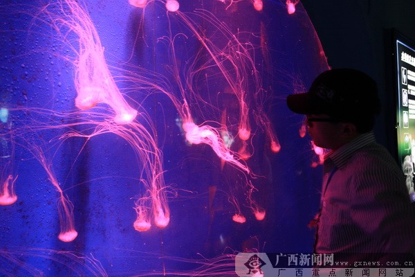 �����u�������磬�w�(y��n)��(m��ng)��������{(l��n)ɫ����֮��