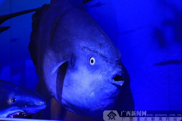 �����u�������磬�w�(y��n)��(m��ng)��������{(l��n)ɫ����֮��