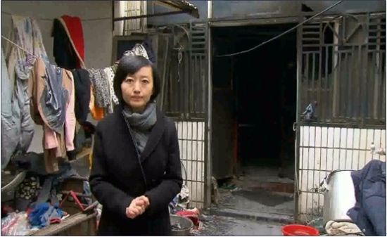 ��Ŀ�؈D��