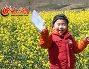 �Ͳ˻������_���Ե��f���ο�