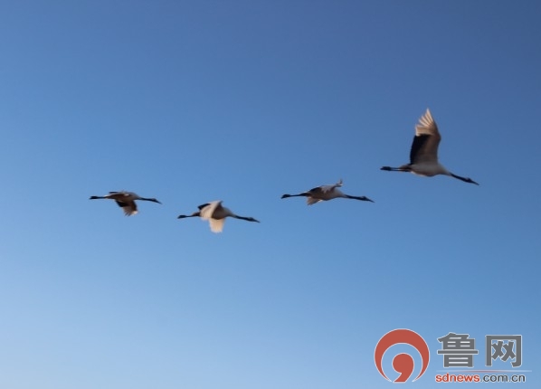 �c(di��n)���鿴��һ�(y��)