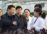 �r�I�lչ �ӿ��D׃