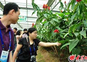 �Ꭷ���֡����M(j��n)��ѩҰ