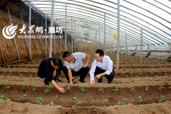 2���ҽM��������鿴��ֲ��Ĳ���.jpg