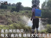 fangyi.jpg