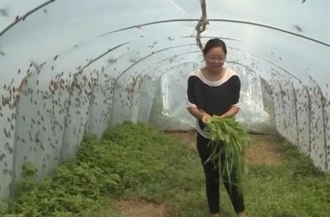 90���l(xi��ng)�����d�����T�������ڄڡ��ơ����¸�·