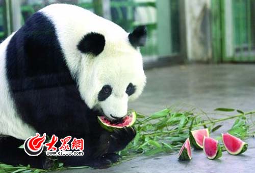 �c���g�[��һ��