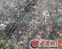 ���u�����O���Gʧ ���л��ش���֪�����F��