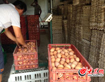 "�����"�r��"��5��6" ӛ�����h��̽"���F"����