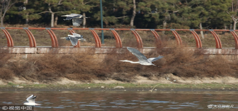 VCG111182132621.jpg