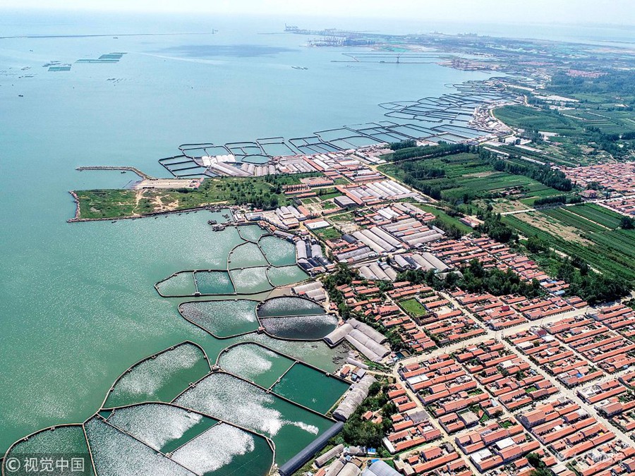 9��4�գ�����r(sh��)��(ji��)�����u�������^(q��)ꐼ�ؕ����ˮ�B(y��ng)ֳ����ֱ�����ˣ����o�ĝO��һƬ�t�߾G�䣬���ĳʾGɫ�͜\�{(l��n)ɫ�ĺ�ˮ���ѵľGɫ��Ұ������򷭵ġ��ϵ۵��{(di��o)ɫ�P������ʰߔ̣��������ա�