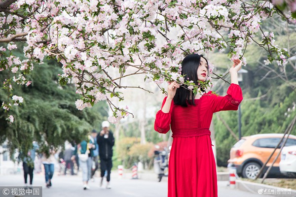 ����һ��У�ȴ��ջ�������  �������v�����p����