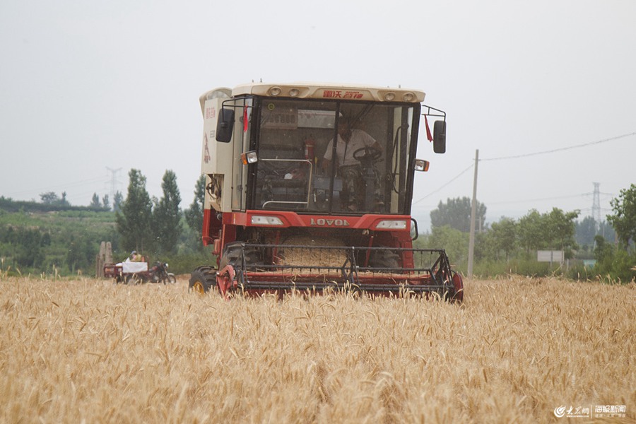 �����ϼZ�}�����������r