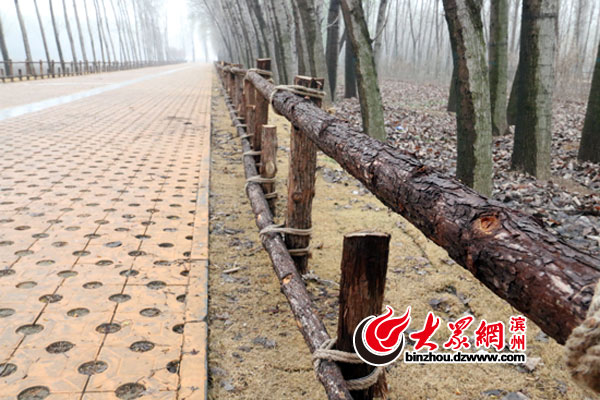 �I�������������_�I ���^�p���_����ǧ�����ŸG