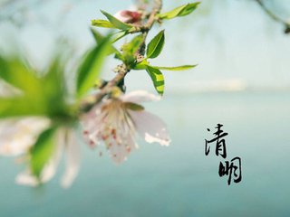 t01bfc9455eb3366b5a.jpg