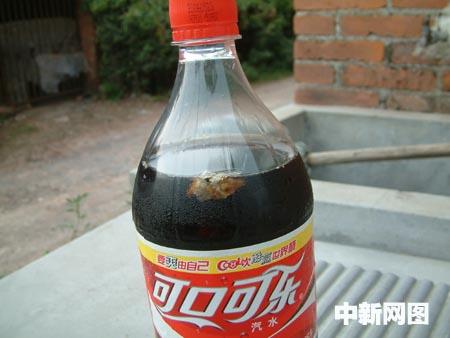 未開封可口可樂中漂有異物消費(fèi)者嚇了一跳