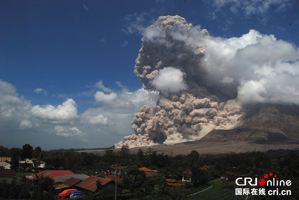 �a�{���ɽ���m���l ��ɽ����������Ģ����