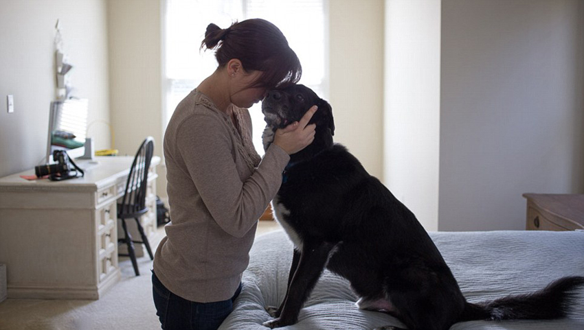 �zӰ���D�ұ��I�B�����c�������x