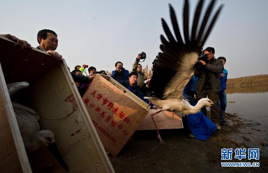 �����B����1�����13ֻ�ж��|�����Xȫ�����w