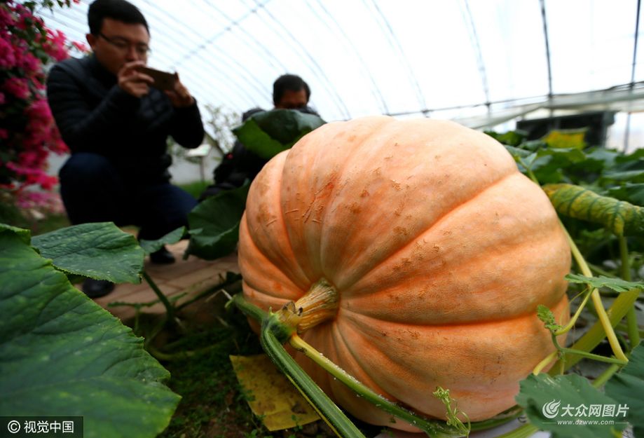 ���գ����u������ϵļ�ī�Ї����r�I(y��)���^(q��)�F(xi��n)���r�I(y��)ʾ���������M�ġ������Ϲϡ�ԇ�N�ɹ��������˱������^�������^�p��