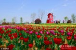 2017��4��19�գ�ɽ�|ʡ�T���ОH�ӱ�������20���@�־��^���������������̼t������_������(zh��ng)�涷�G�������˱�������ǰ���p�����ա�