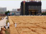QQ�؈D20170610074826.jpg