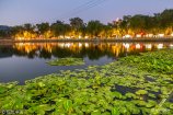 2018��6��11�գ����ϰٻ��ރȵĺ��~���L��ʢ��ҹĻ���R�󣬰ٻ���ҹ���������𣬾G���͵ĺ��~�cҹ��������ӳ��Ȥ���貵�ҹ���Ե����ˡ�