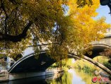 �D2����һ�N�����Н��ϵ����졣���󱊾W-ɽ�|24С�rӛ�����ɺ��.jpg