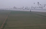 QQ�؈D20191214145034_����.jpg