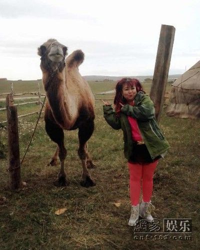 �����ڡ�����Ӣ�ۡ��Ĕz�F����